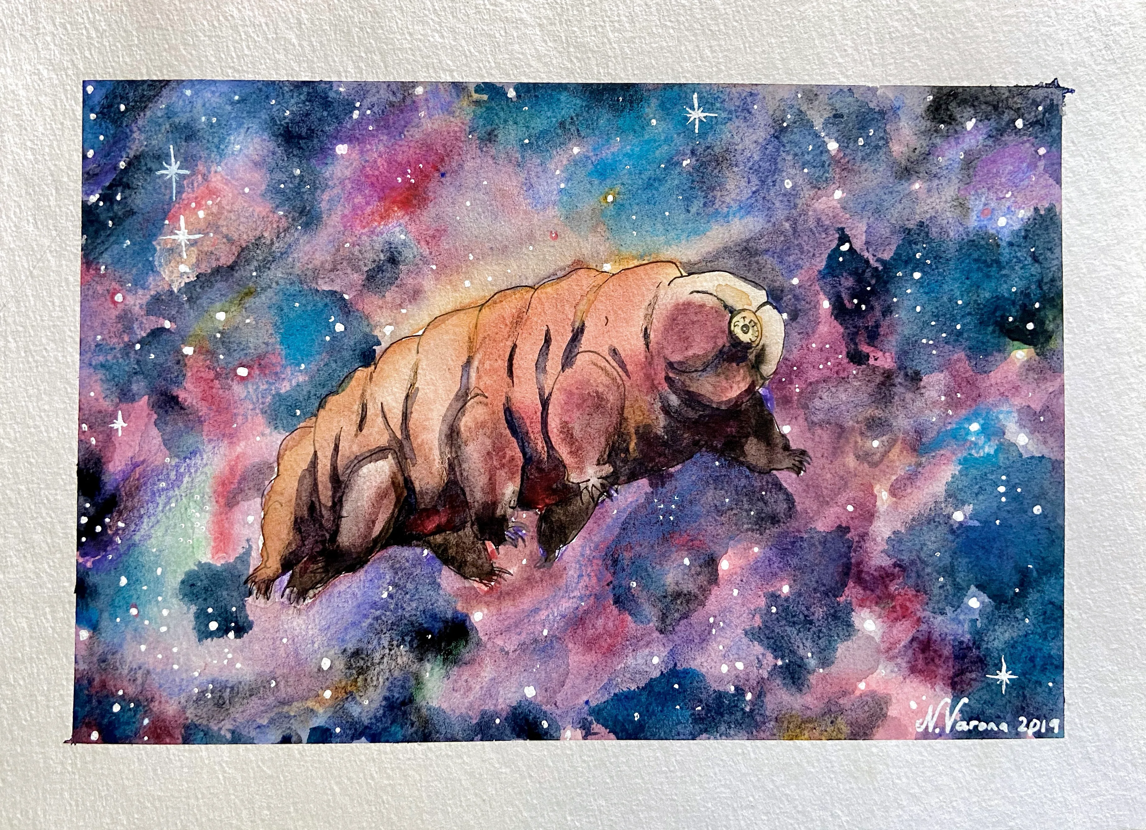Tardigrade