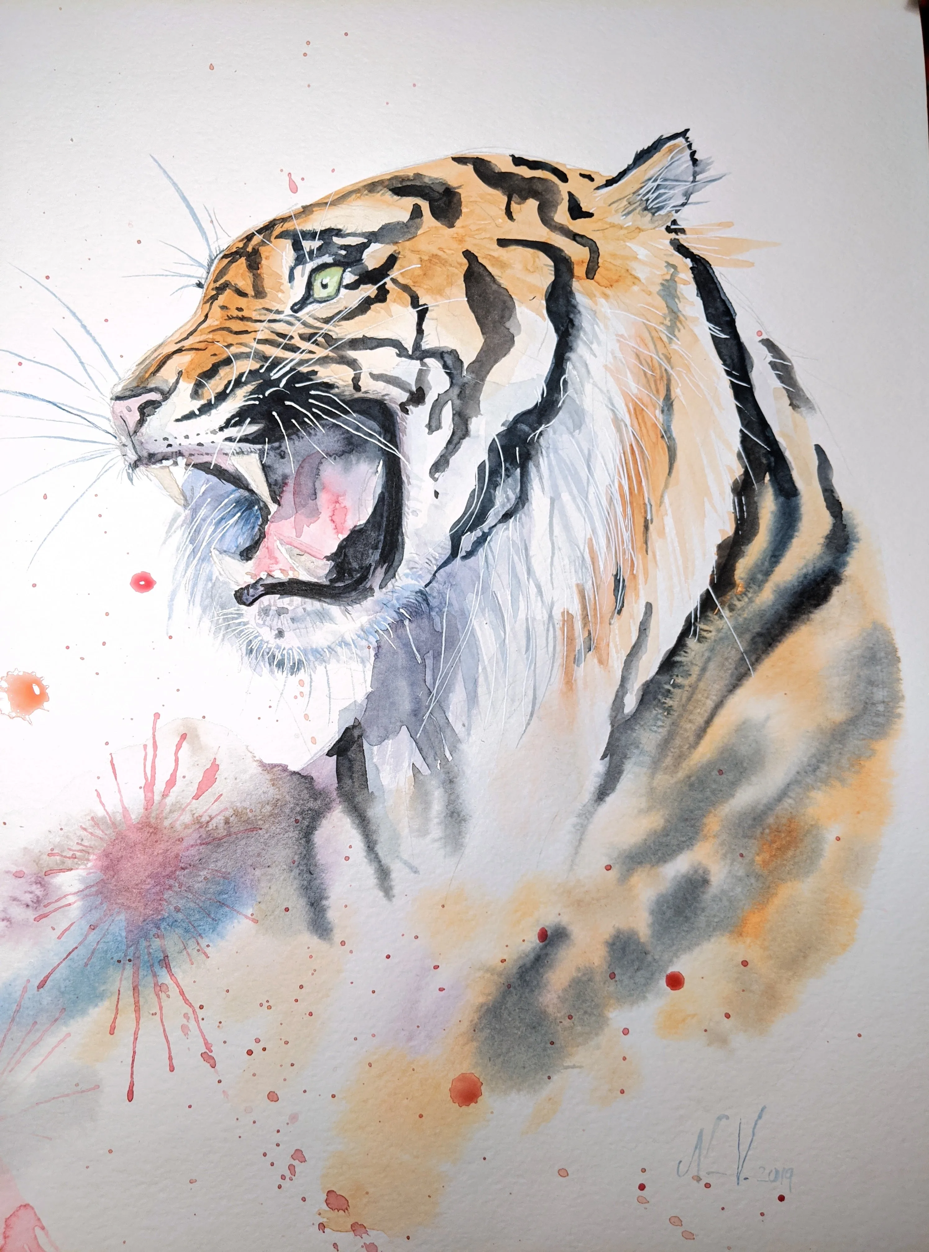Tiger